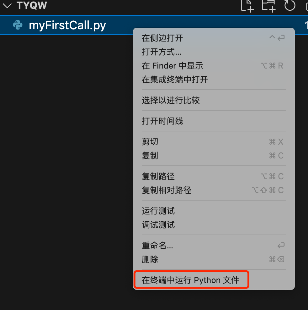 图8  在终端中运行 Python 文件