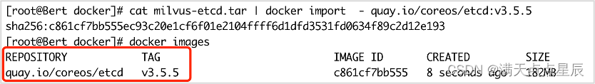 Docker镜像导出/导入