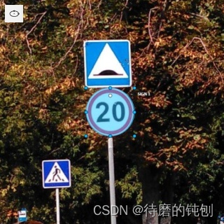 4.7.CVAT——椭圆标注（道路标志）