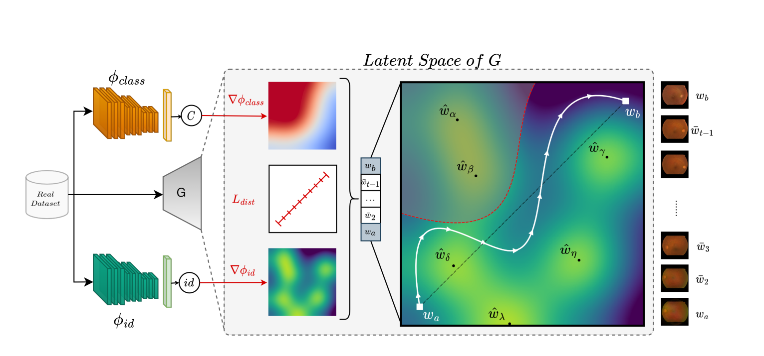 PLAN方法：解决 GAN 生成医学图像 Latent 空间中的隐私保护方法