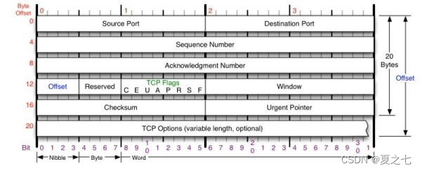 基础：TCP是什么？