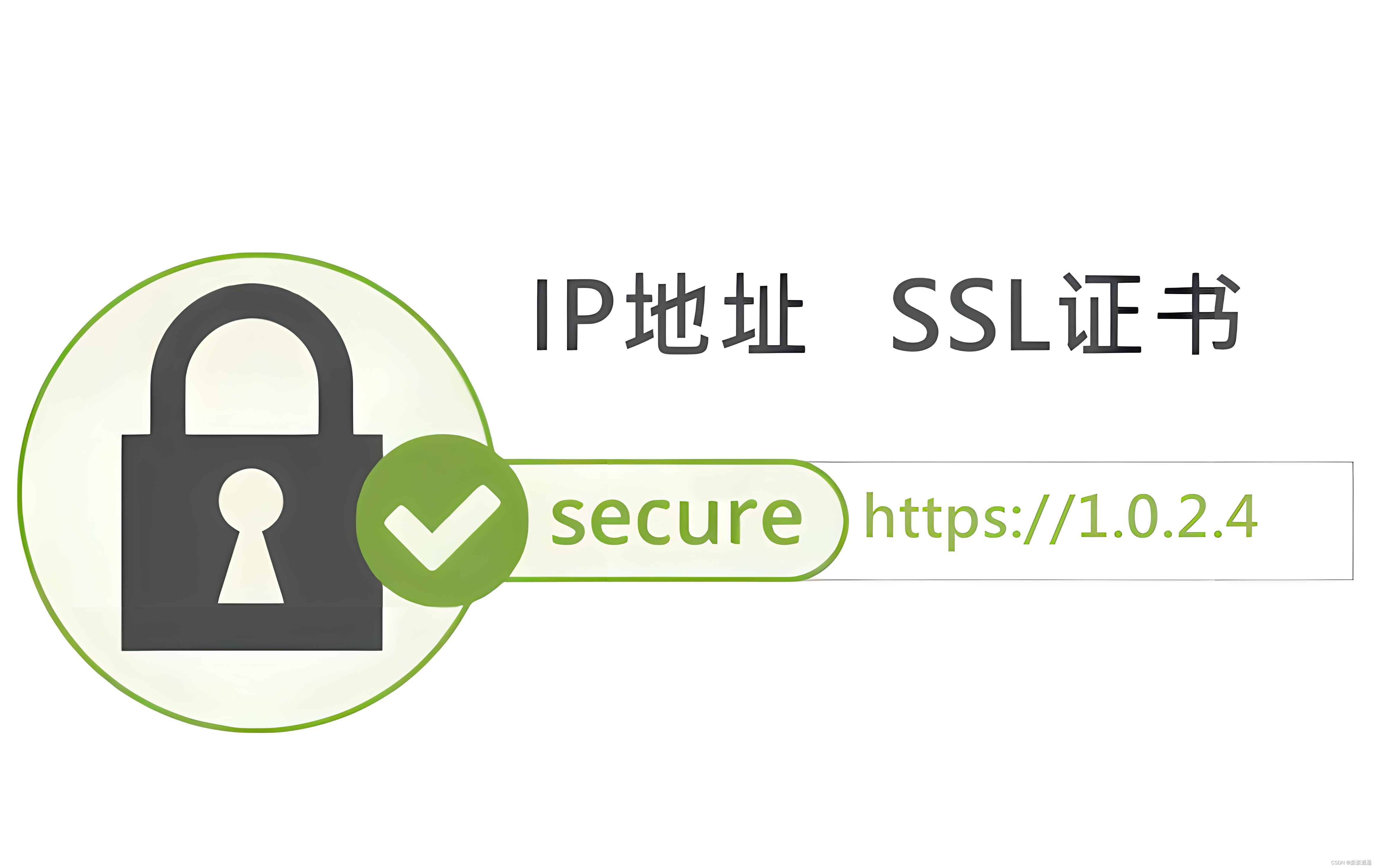 IPSSL证书：为特定IP地址通信数据保驾护航