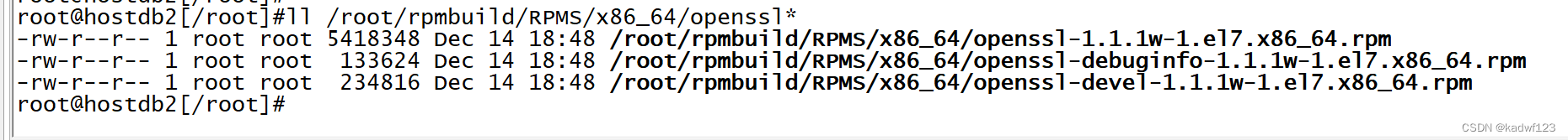 RHEL7.5编译openssl1.1.1w源码包到rpm包