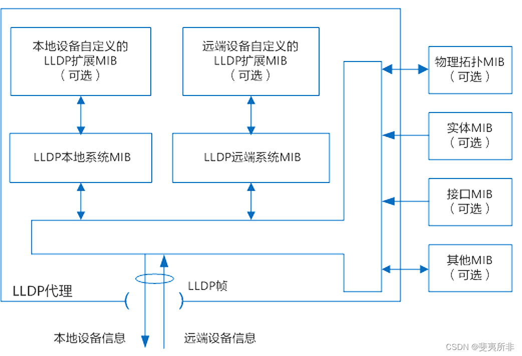 LLDP 基本原理