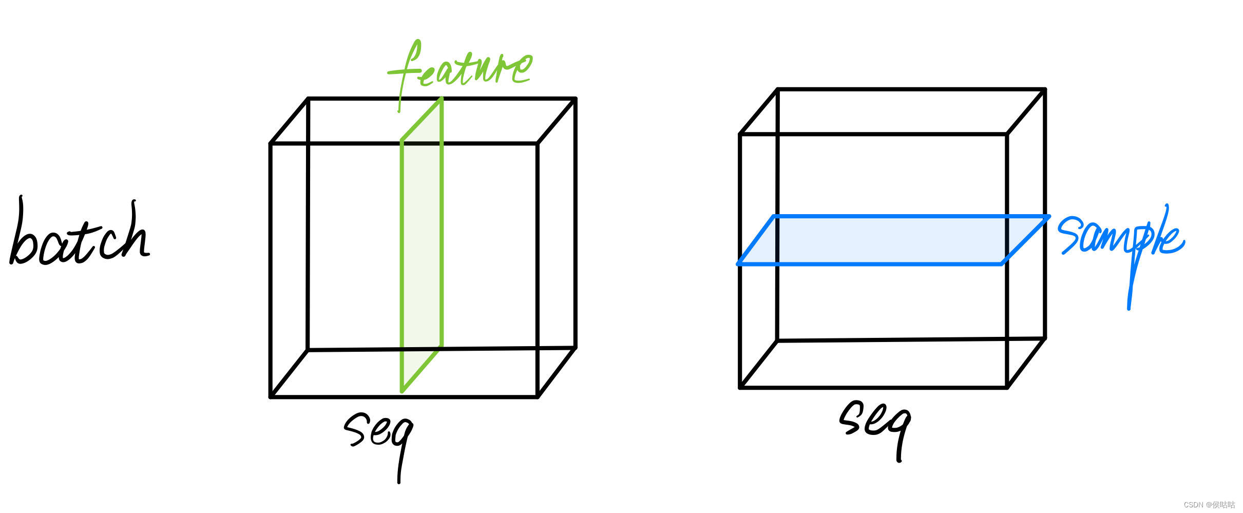 三维batch中的feature和sample