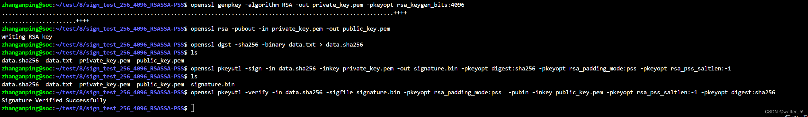 openssl 命令行生成密钥对，生成hash，PSS填充签名，校验