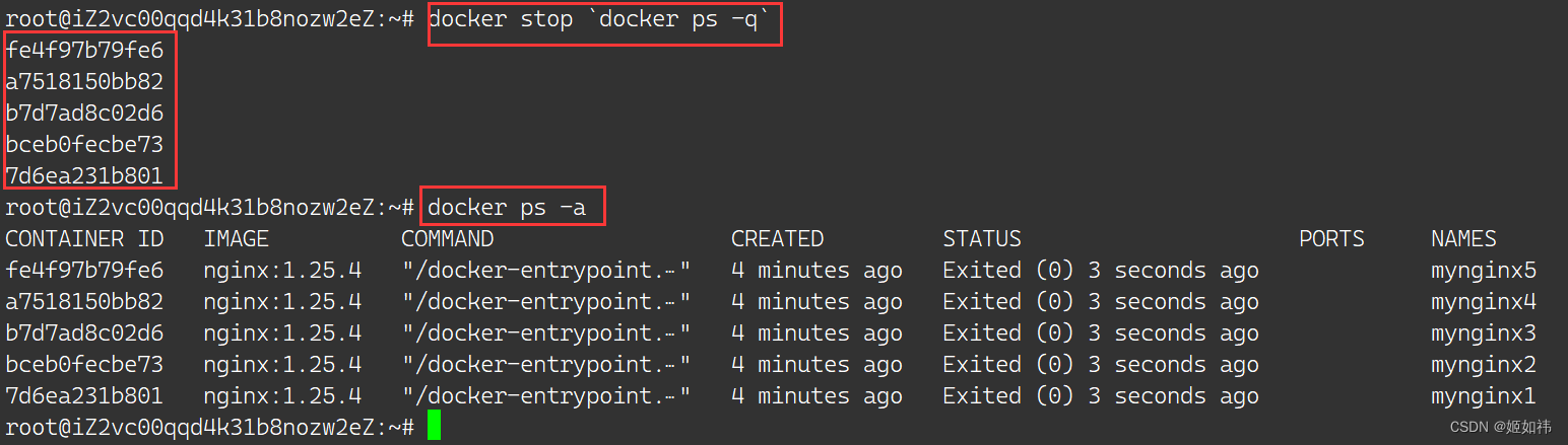 Docker Container (容器) 常见命令