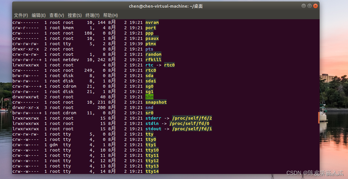 P6 Linux 系统中的文件类型