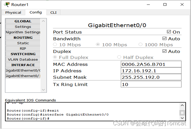 计算机网络综合组网实验