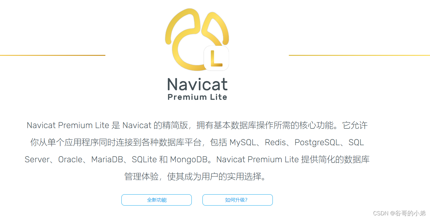 Navicat Premium Lite绿色免费版