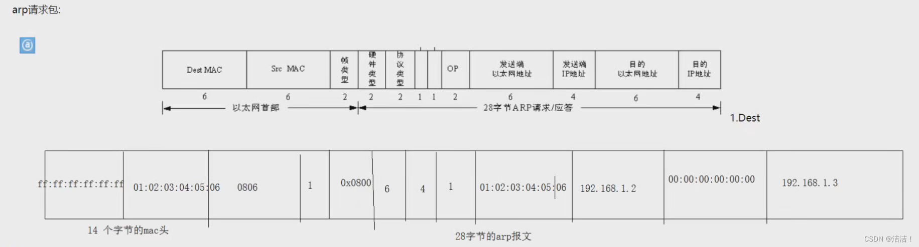 【计算机网络】深入掌握计算机网络的核心要点（面试专用）