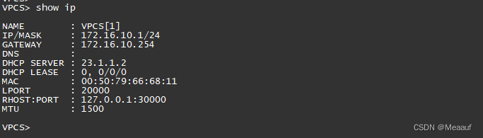 综合练习（OSPF+BGP+ISIS+单臂路由）