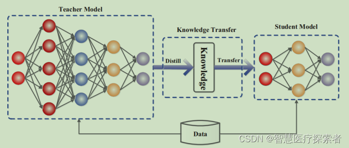 深度学习：什么是知识蒸馏（Knowledge Distillation）