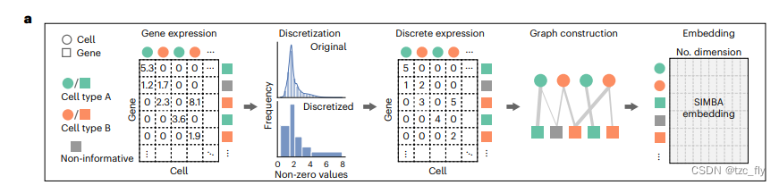 fig2a