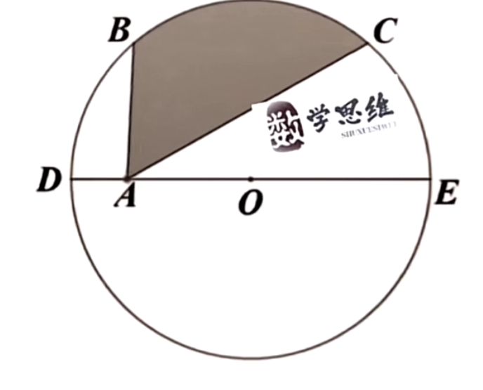 一个小学数学题