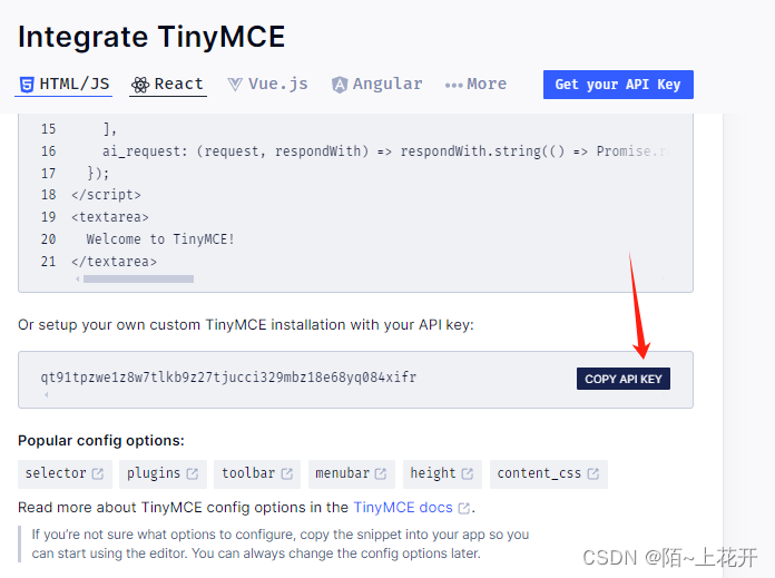 vue3中tinymce5.1.1基础配置、使用api-key、上传图片、自定义按钮_tinymce apikey-CSDN博客