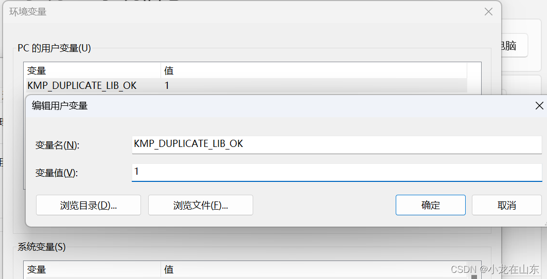 Initializing libiomp5md.dll, but found libiomp5md.dll already initialized.