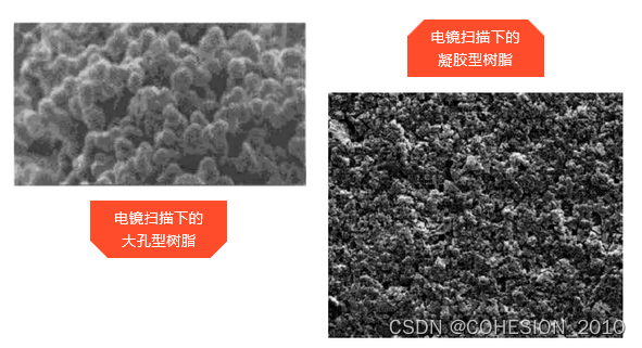 大孔树脂与凝胶型树脂的区别及应用