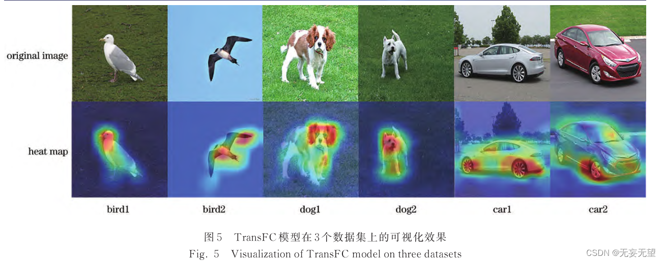 vit细粒度图像分类（五）TransFC学习笔记