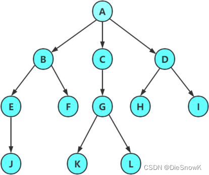 [C][数据结构][树]详细讲解