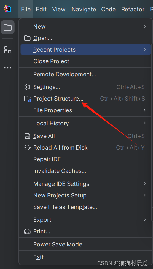 点击File -> Project Structure