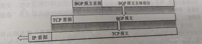 BGP路由知识点