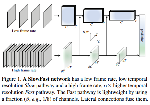 用于视频识别的快慢网络