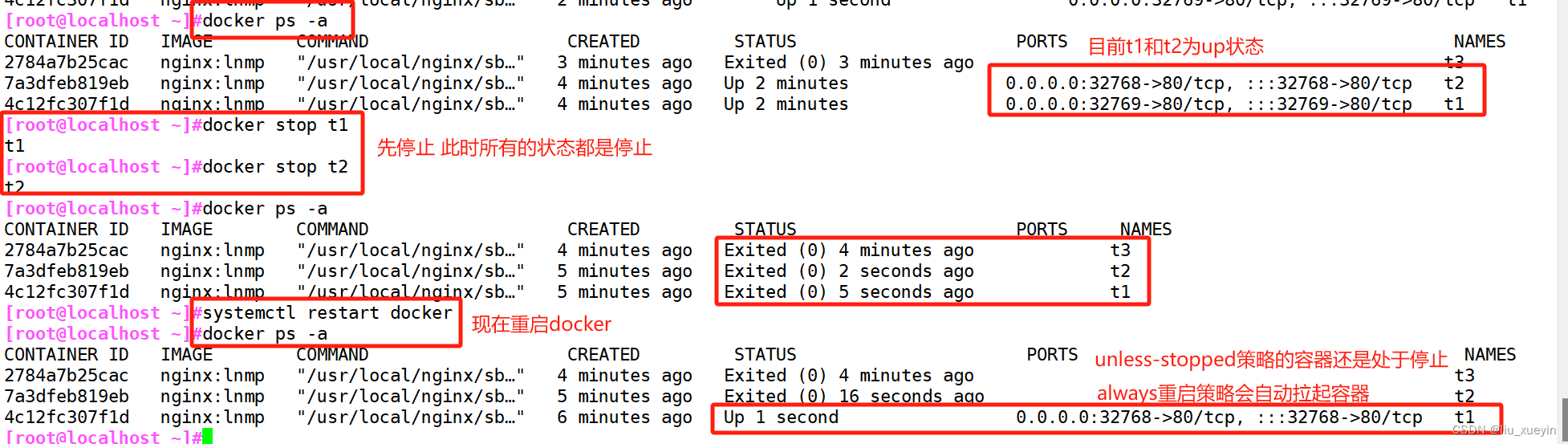 【云原生】Docker私有仓库搭建以及四大容器重启策略