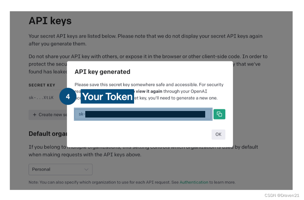 Get OpenAI Token Step4