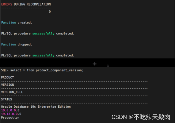 Oracle 19c RAC 补丁升级 补丁回退