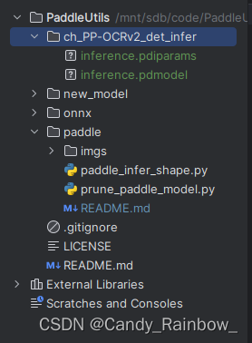 pdmodel从动态模型转成静态onnx