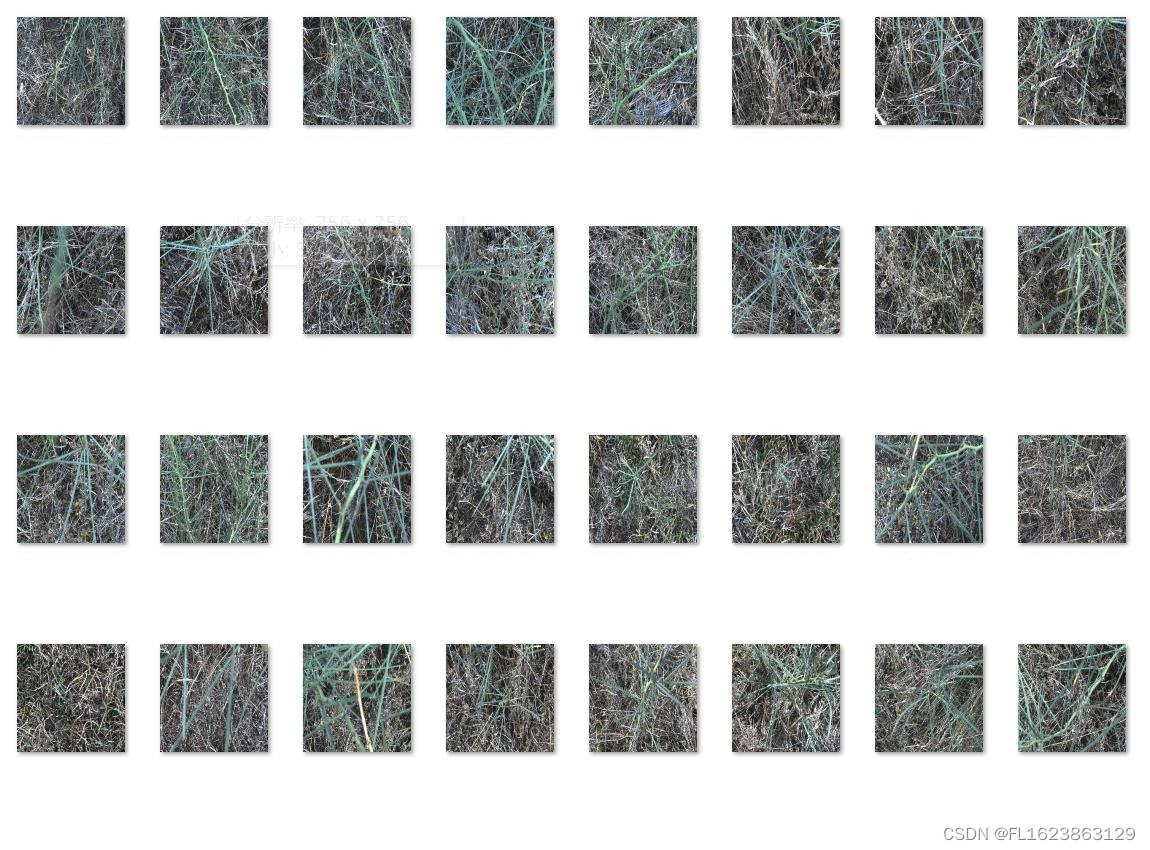 [数据集][图像分类]杂草分类数据集17509张9类别