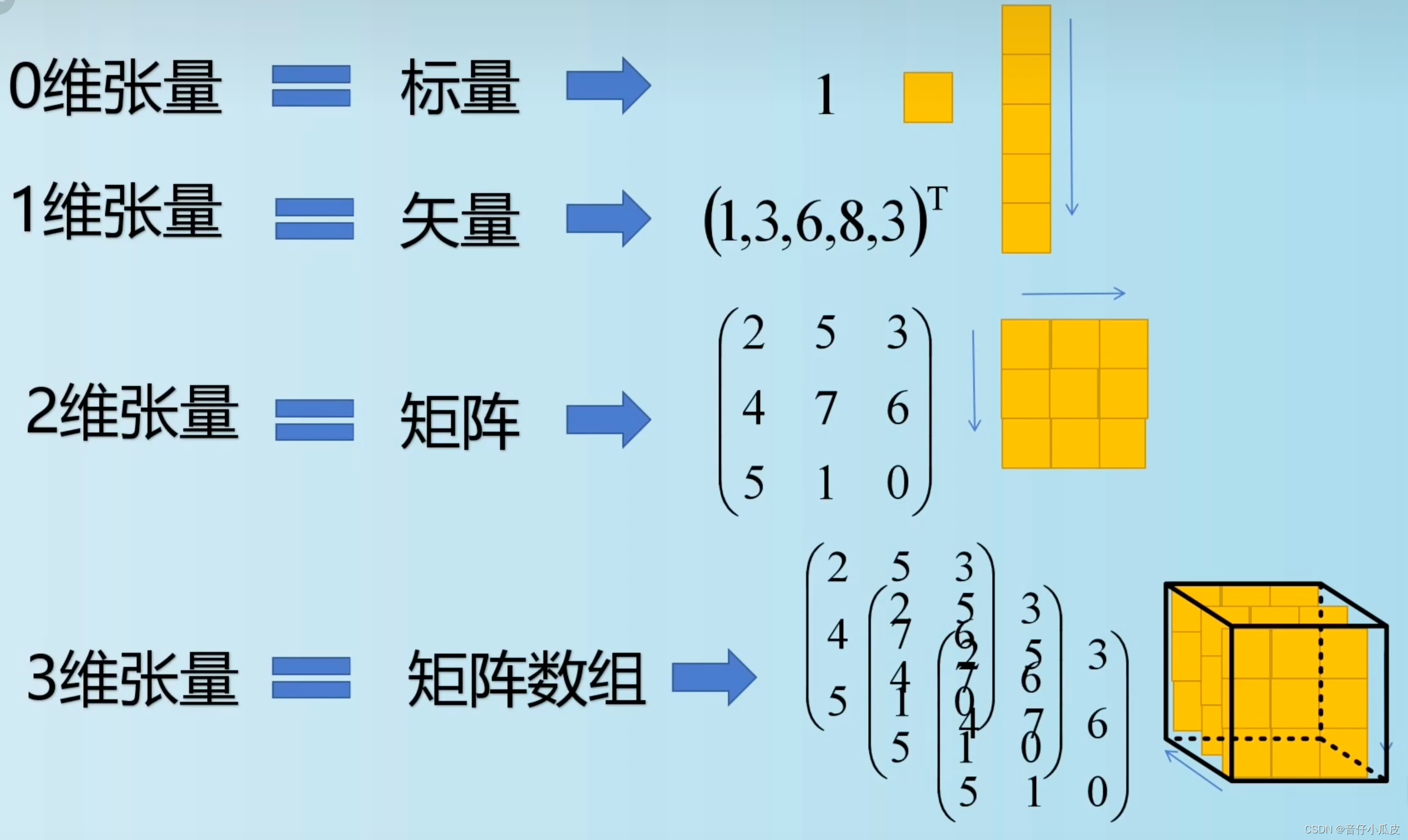 【线代基础】张量、向量、标量、矩阵的区别