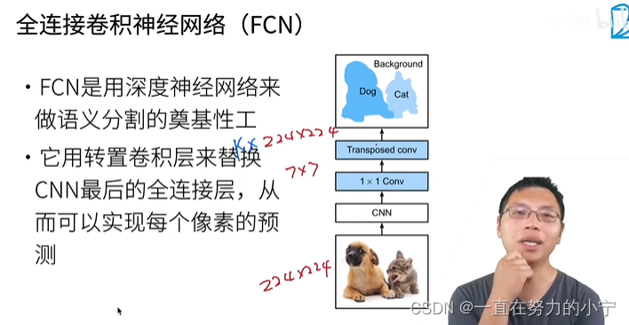 48 全连接卷积神经网络 FCN【动手学深度学习v2】