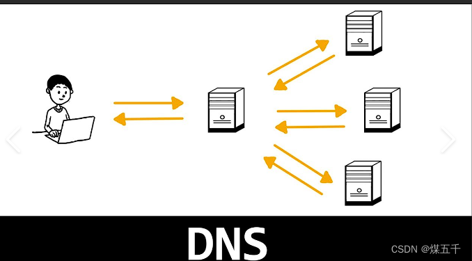 linux DNS域名解析服务