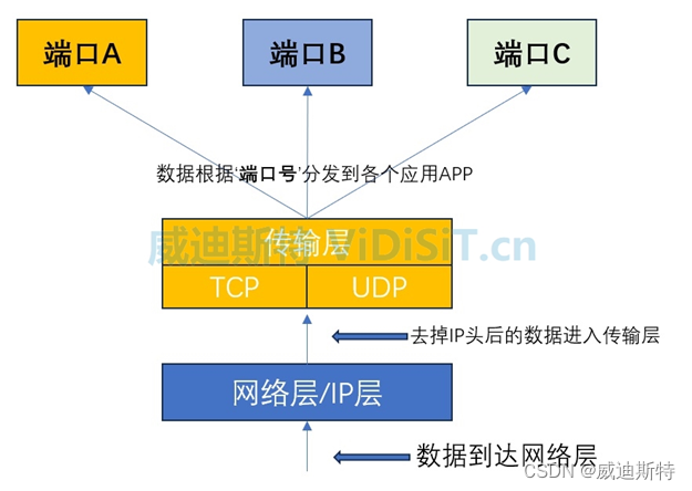 网络<span style='color:red;'>端口</span>(包括<span style='color:red;'>TCP</span><span style='color:red;'>端口</span>和<span style='color:red;'>UDP</span><span style='color:red;'>端口</span>)的作用、<span style='color:red;'>定义</span>、分类，以及在视频监控和<span style='color:red;'>流</span><span style='color:red;'>媒体</span>通信中的<span style='color:red;'>定义</span>