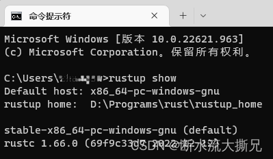 【Rust敲门砖】 Windows环境下配置及安装环境