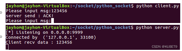 Python_Socket