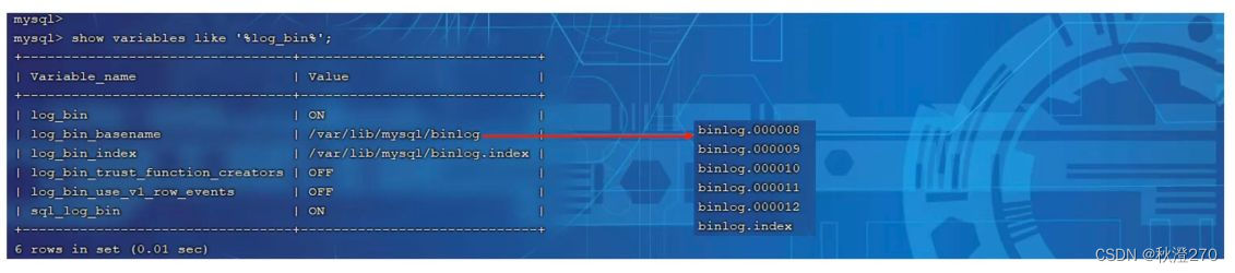 MySQL-运维