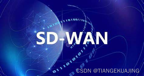 如何评估SD-WAN专线带宽、确保网络性能