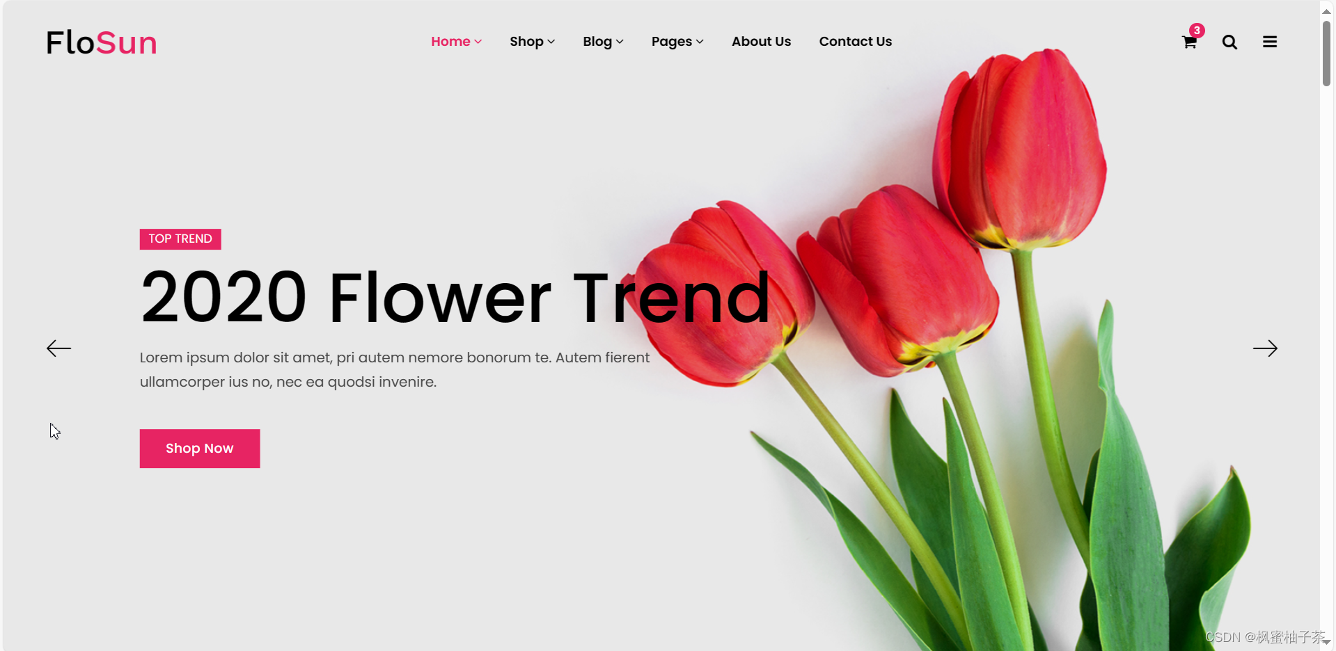 【前端素材】推荐优质在线鲜花预订商城网站设计Flosun平台模板(附源码)