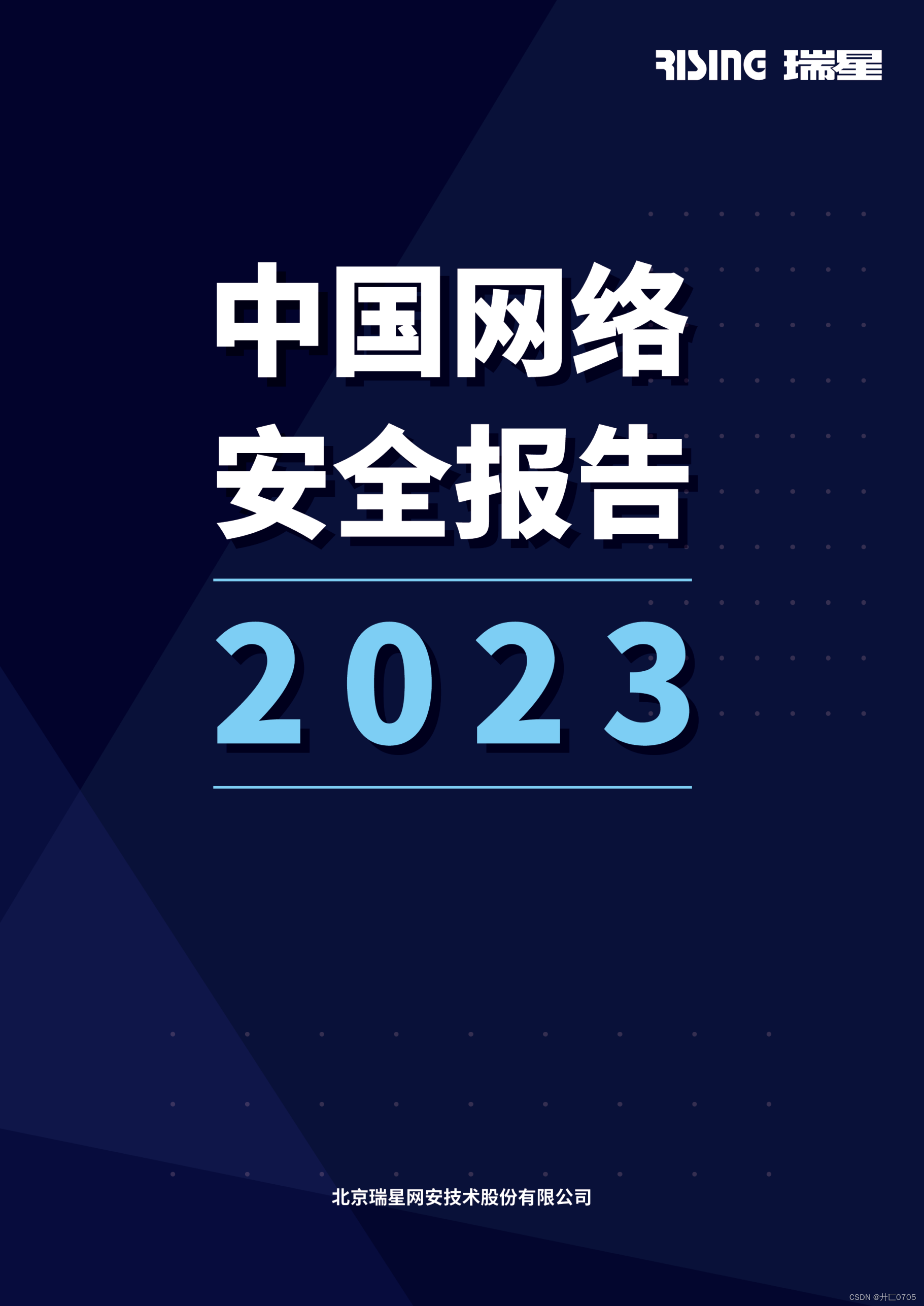 中国网络安全报告2023