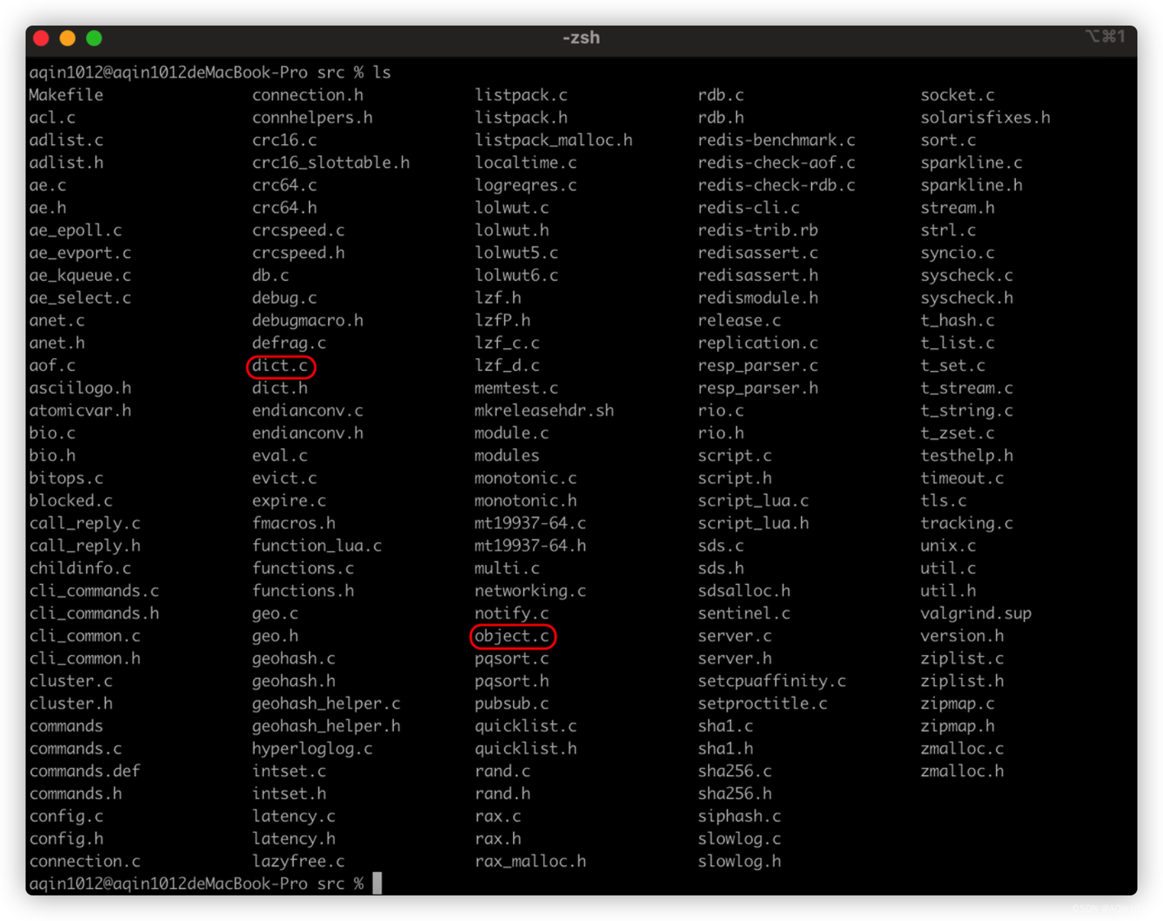 【Redis】深入理解 Redis 常用数据类型源码及底层实现（1.结构与源码概述）