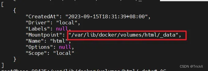 初识docker