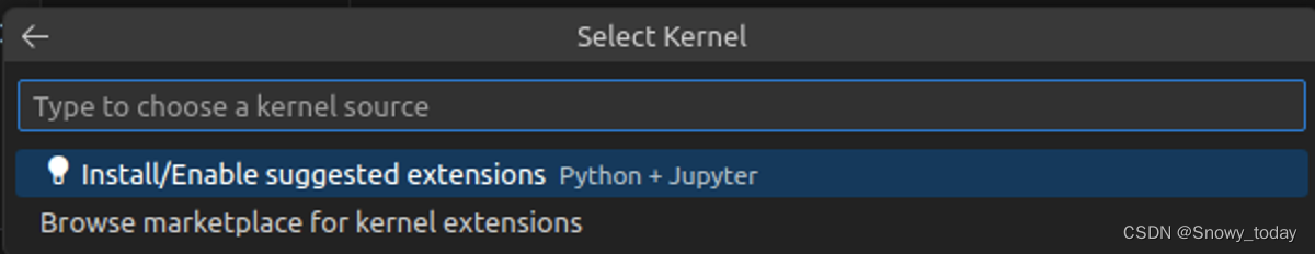 【VSCode】解决远程配置jupyter notebook始终无法搜到kernel