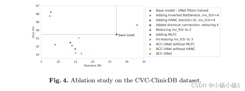 ACC-UNet: A Completely Convolutional UNet Model for the 2020s