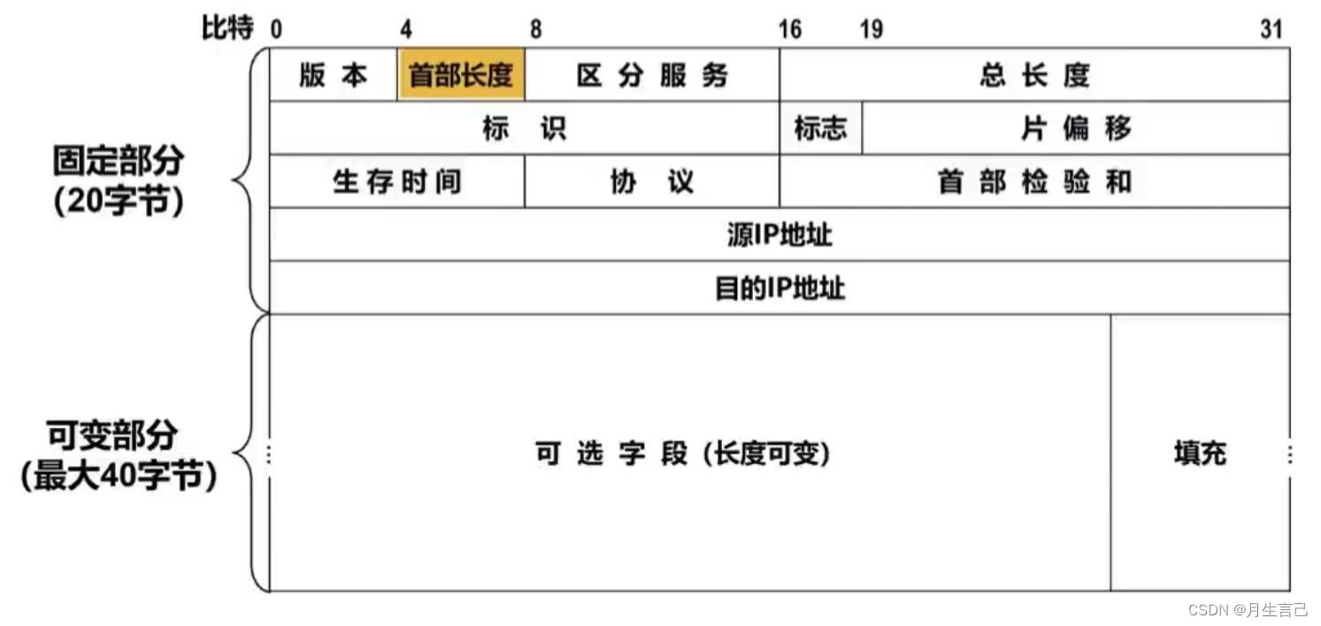 IP数据报格式