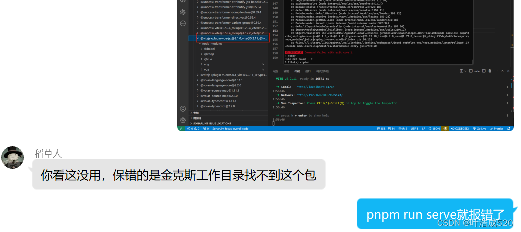 jenkins目录下的vue3项目——pnpm install后运行报错——奇葩问题解决