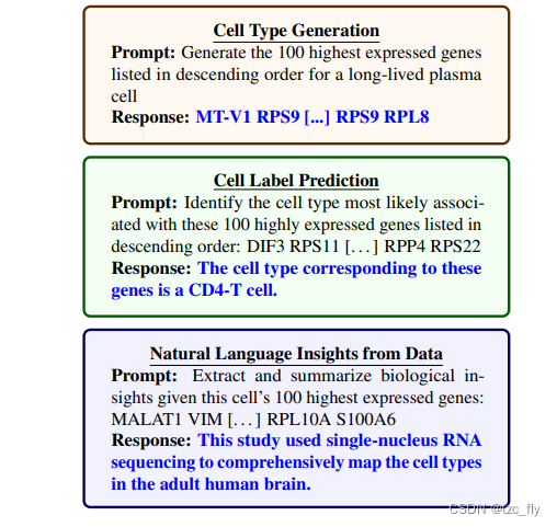 Cell2Sentence：为LLM传输生物语言