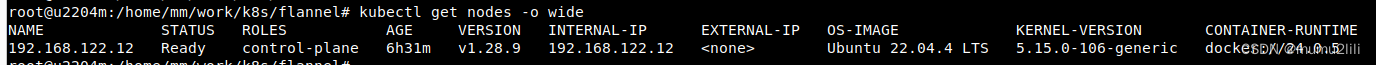 <span style='color:red;'>kubeadm</span> <span style='color:red;'>在</span>vubuntu22.04.4 server <span style='color:red;'>上</span><span style='color:red;'>安装</span><span style='color:red;'>kubernetes</span> 1.28.9